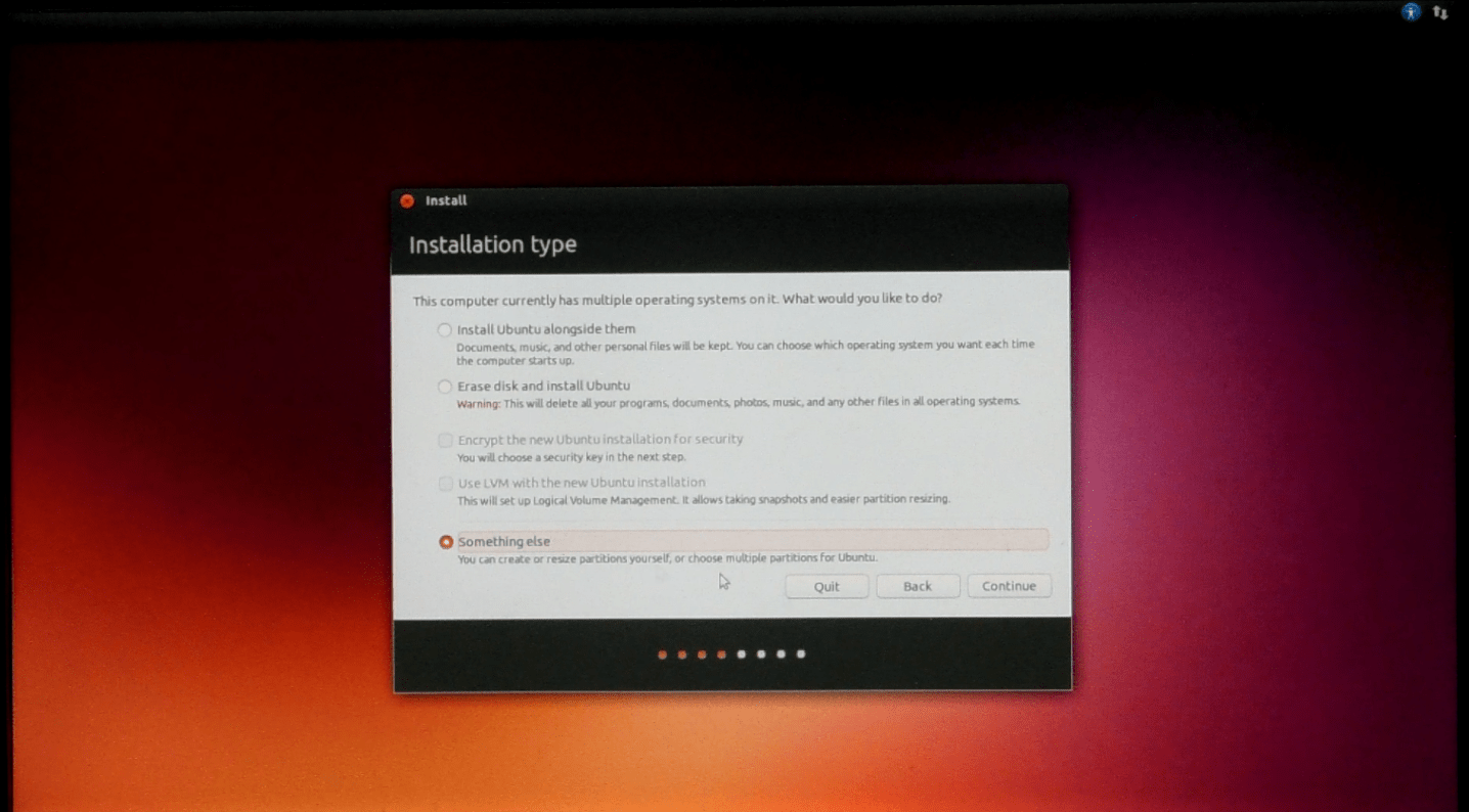 Ubuntu Installation Type